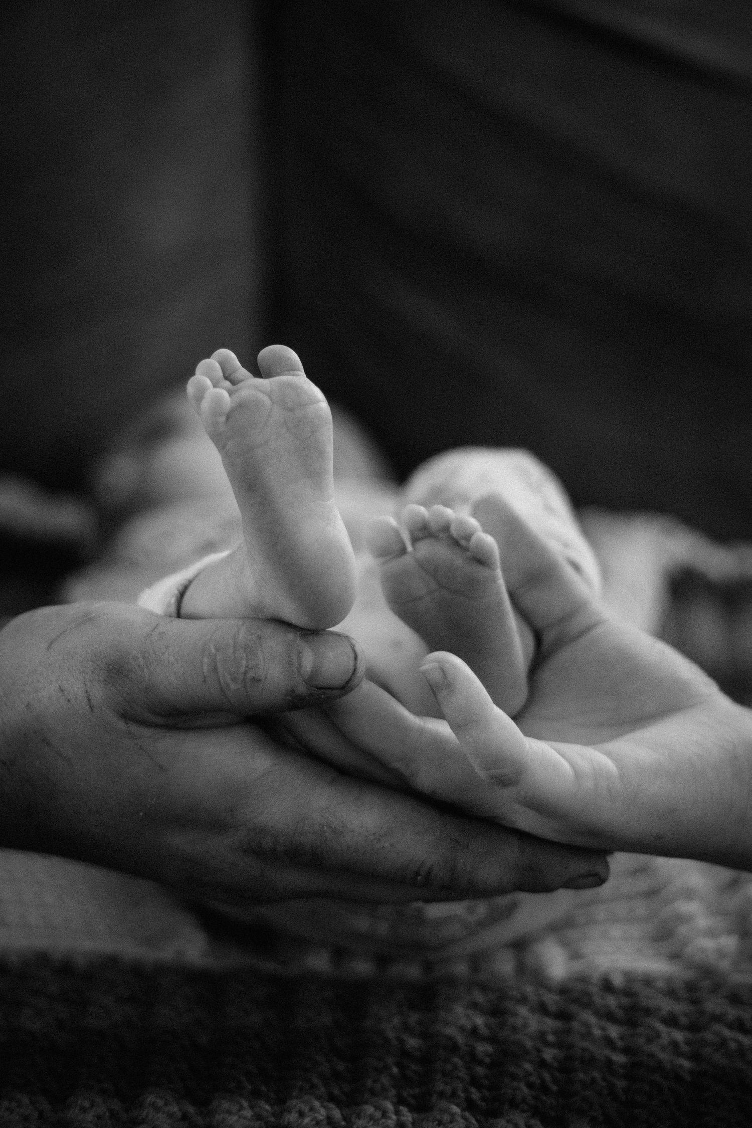 Black and white photo of adult hands gently cradling tiny newborn baby feet.