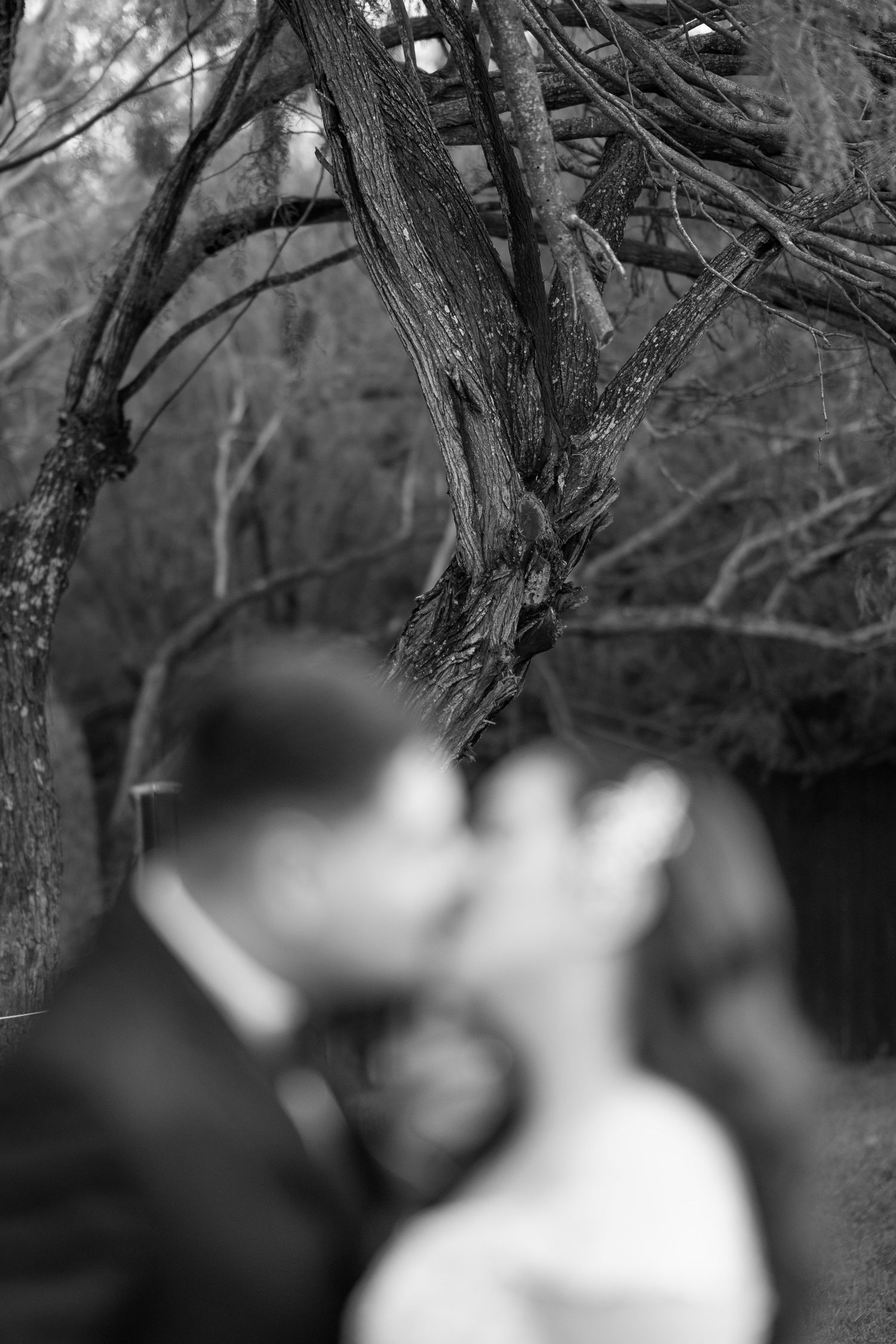 Artistic black and white wedding photo with tree branches framing the blurred couple in background.