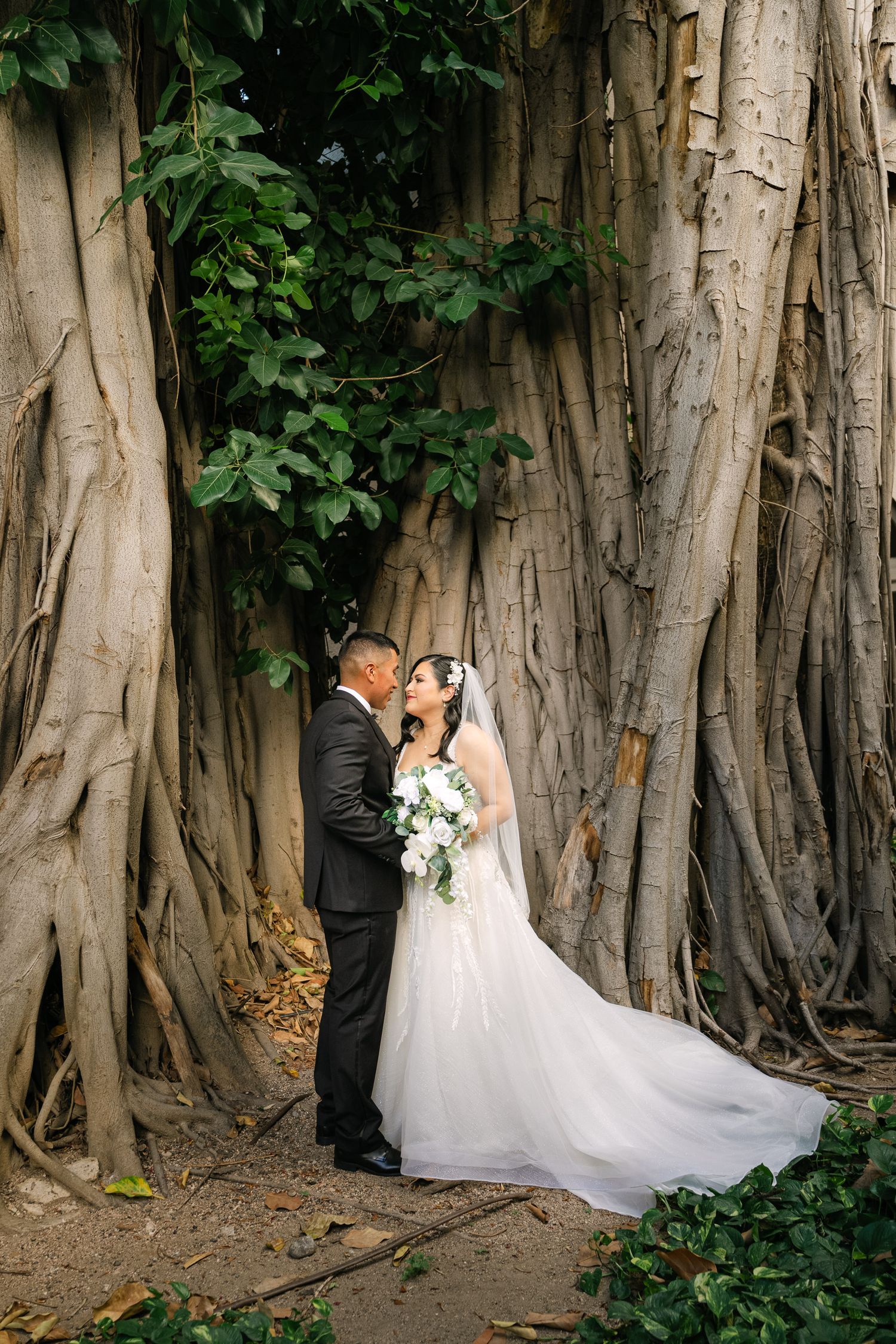 Newlyweds embrace in front of dramatic banyan tree roots in formal wedding attire.