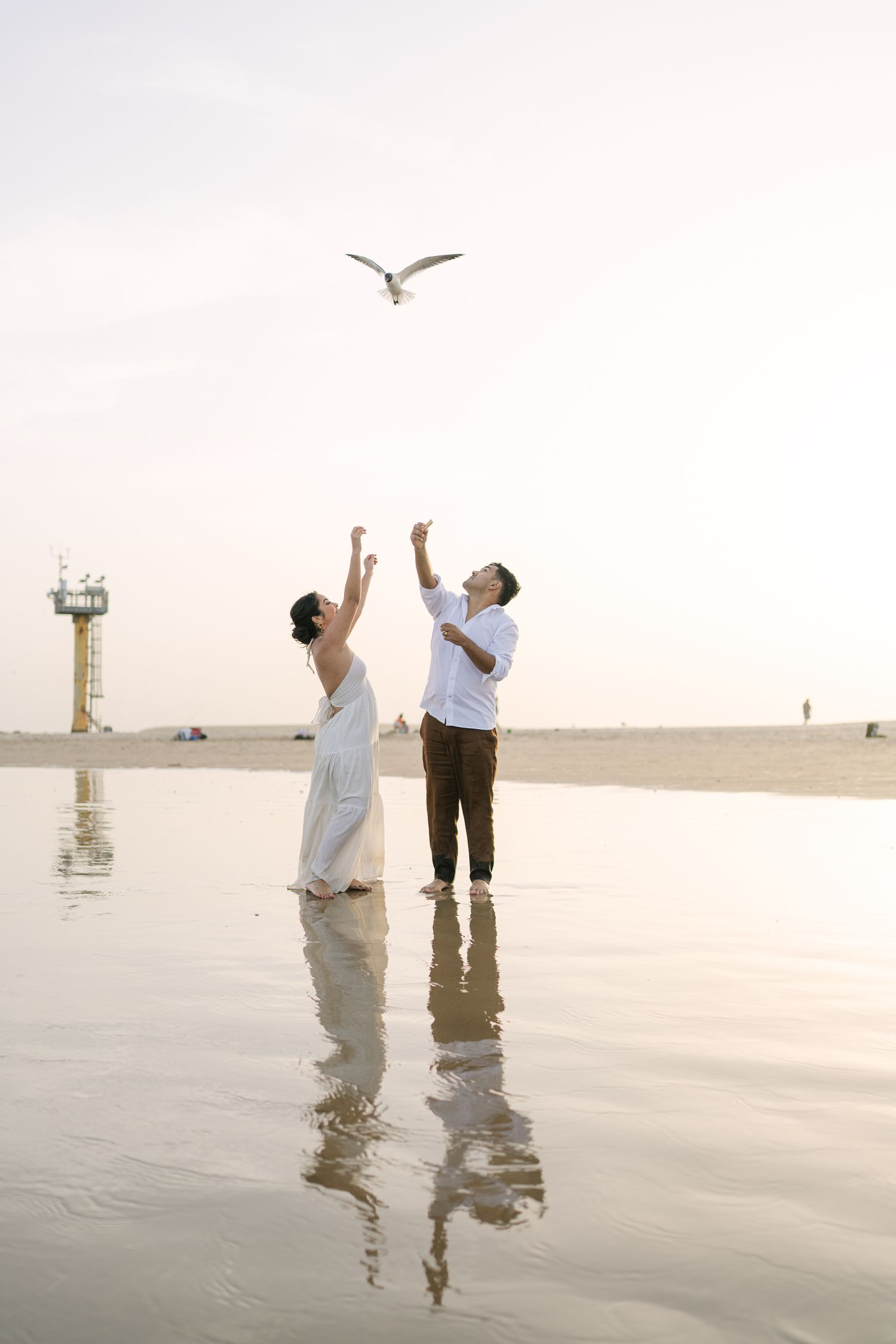 A couple reaches toward a seagull while standing in shallow beach water at sunset.