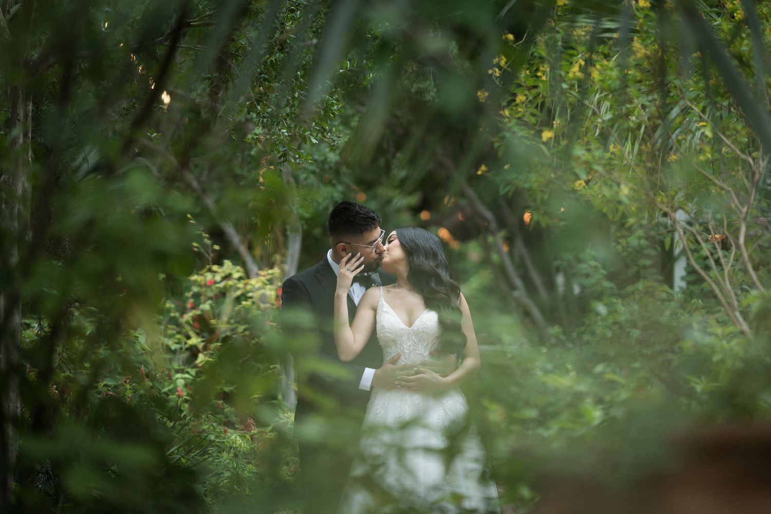 Romantic garden setting with soft focus foliage and natural light.