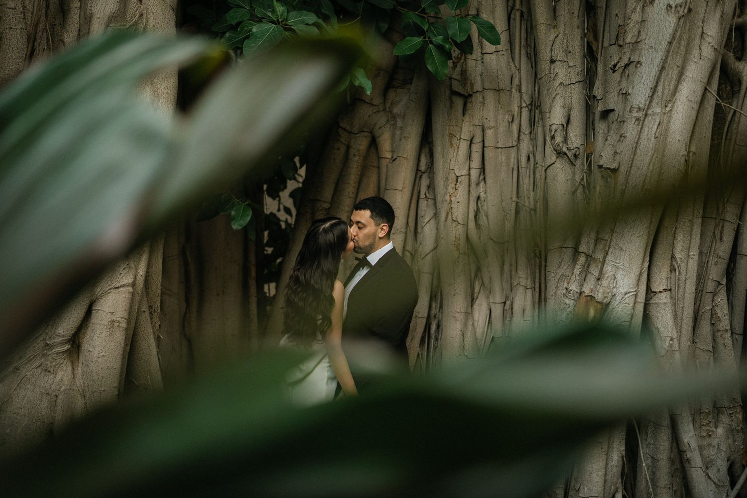 Artistic wedding photo framed through tropical leaves against a rustic tree bark background.