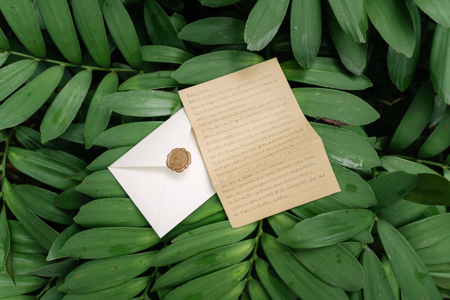 A vintage letter and envelope rest on vibrant green palm leaves in a minimalist composition.