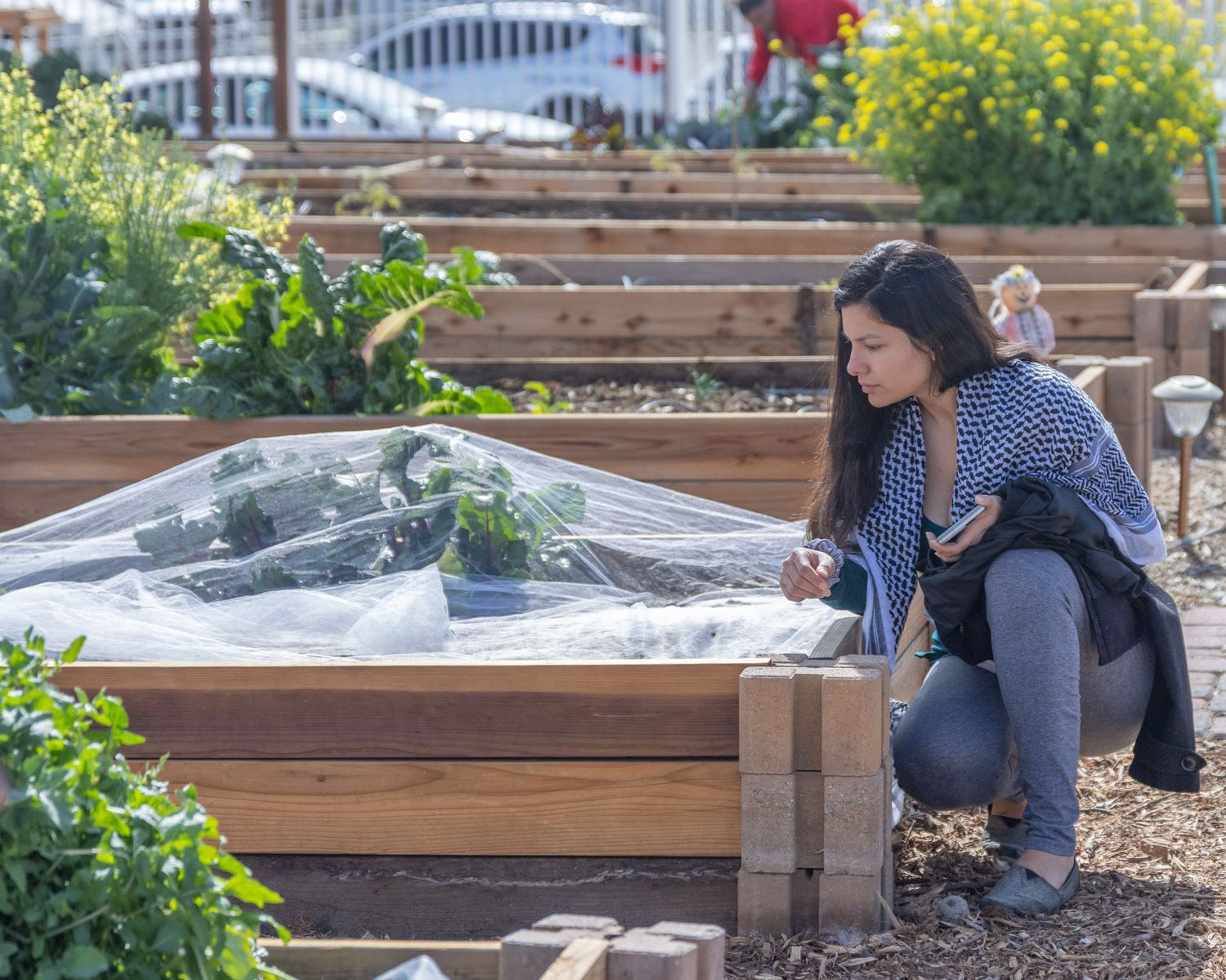 Someone tends to a raised garden bed filled with soil in an urban community garden setting during spring.