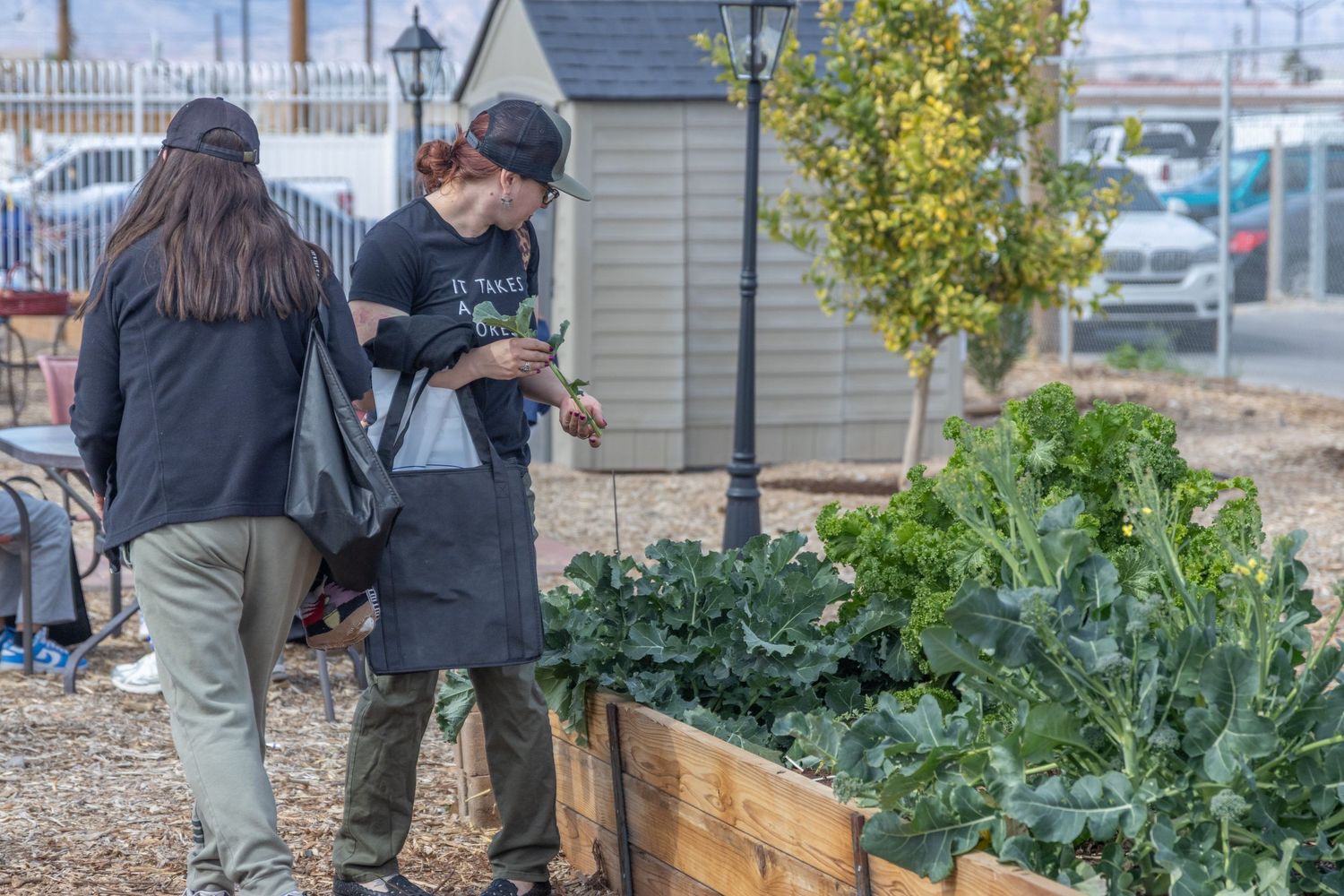 Community members work together to tend raised garden beds filled with fresh vegetables and leafy greens.
