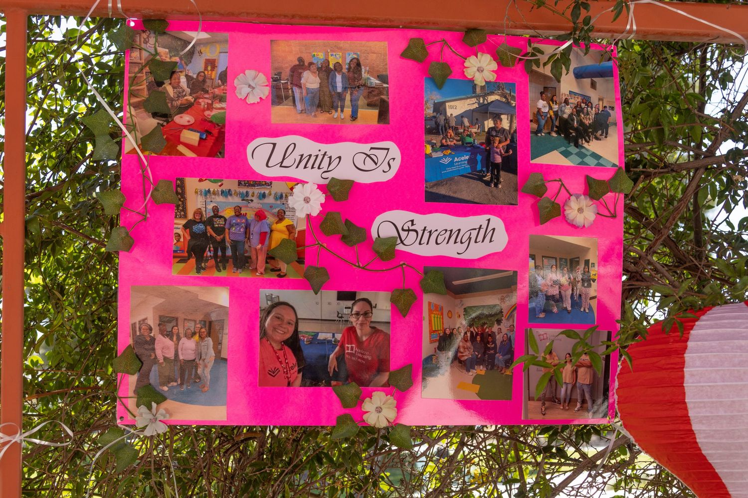 Pink-themed photo collage display with multiple picture frames mounted on an outdoor structure.