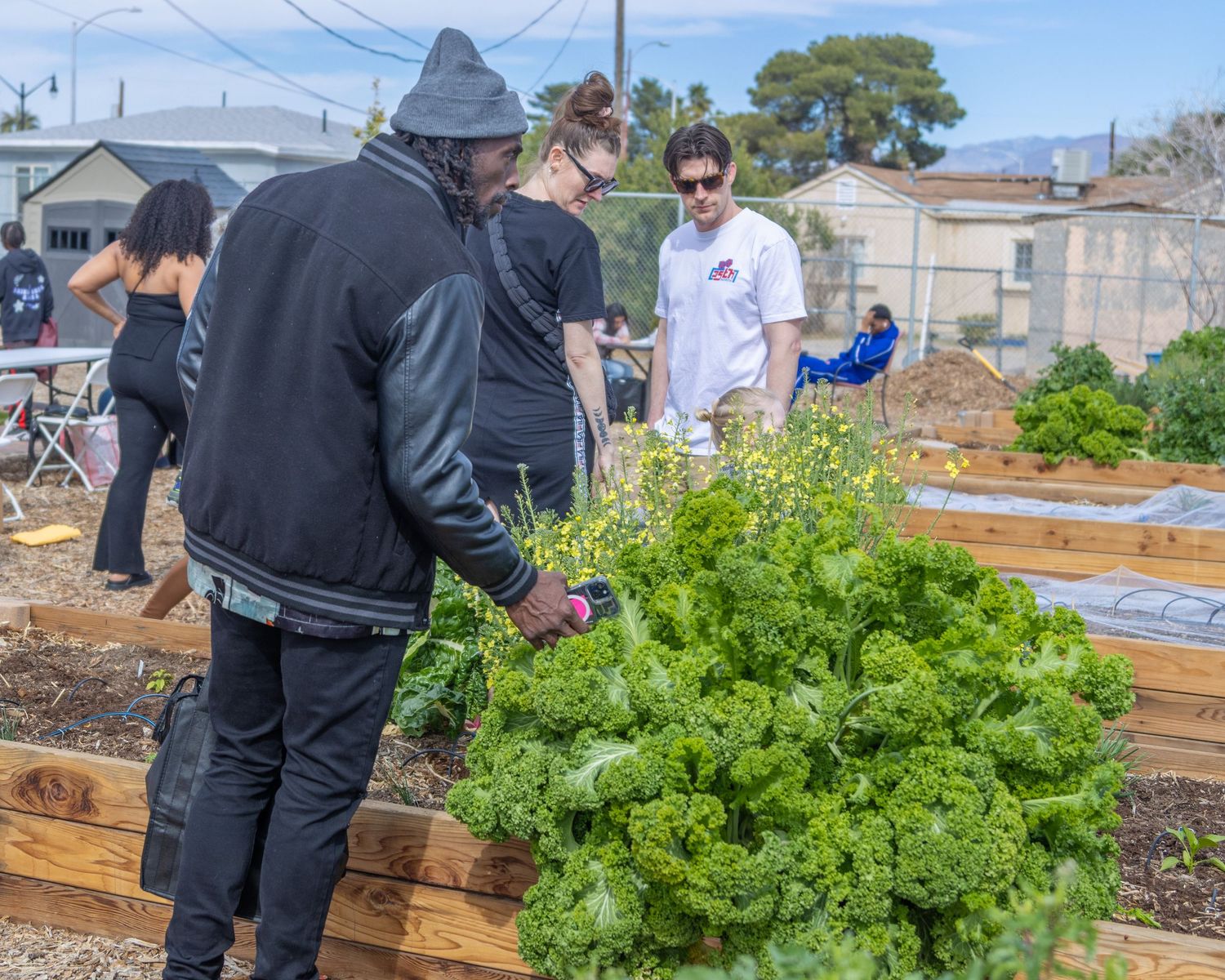 Gardeners tend to raised wooden planter boxes filled with fresh leafy greens in an urban community garden setting.
