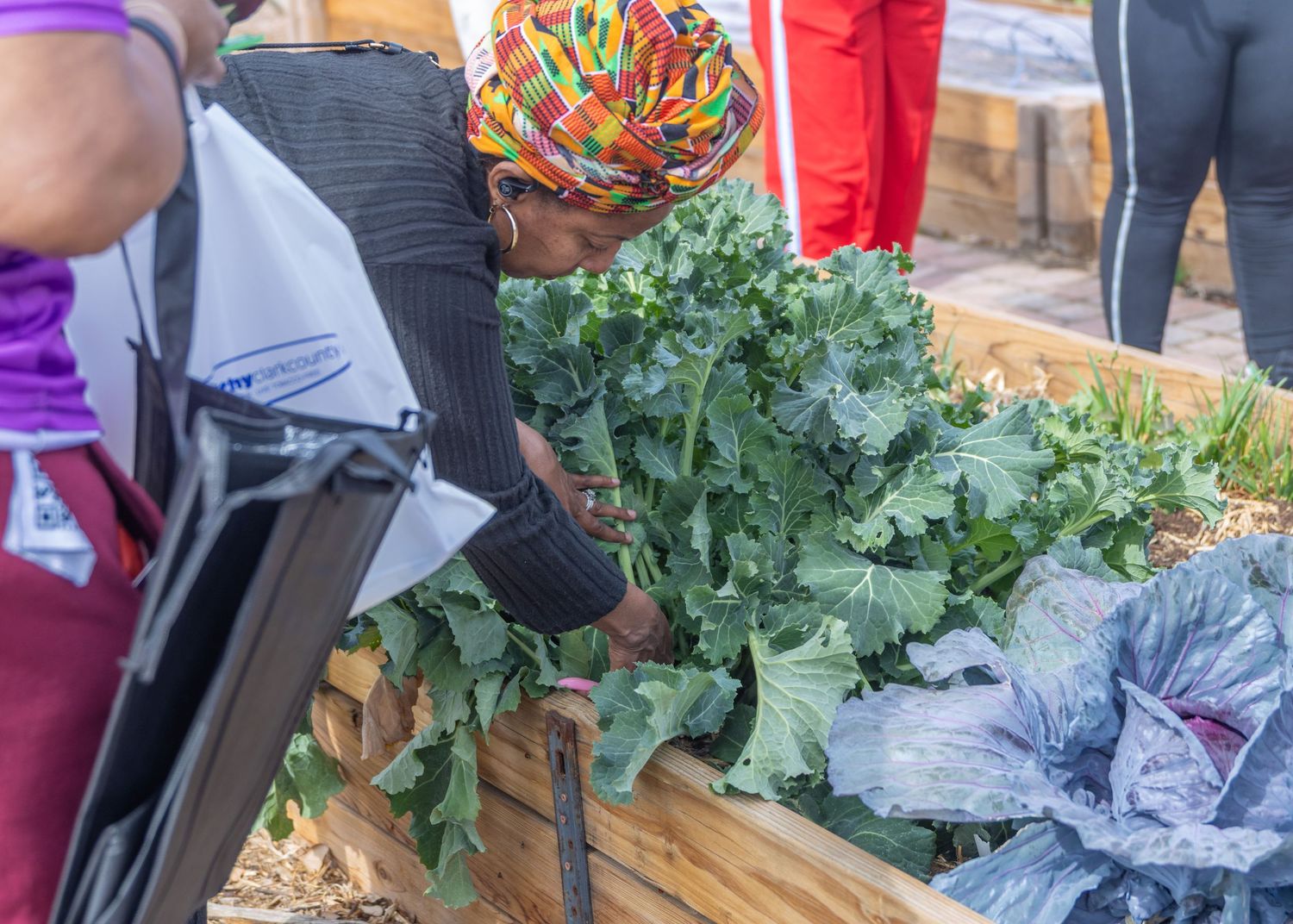 Volunteers packing fresh produce and vegetables into wooden crates at an outdoor farmers market stand.