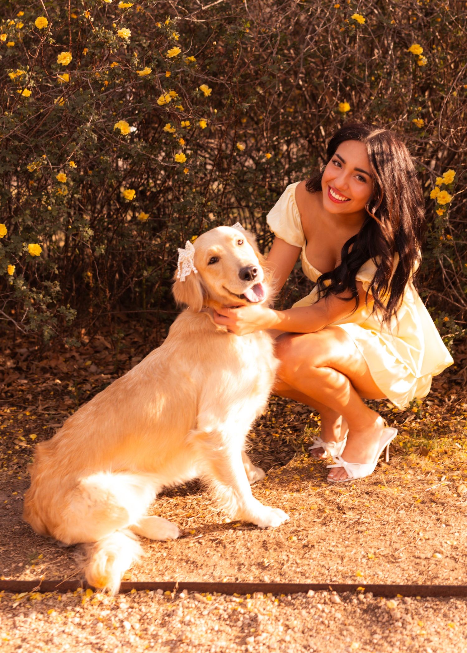 Young woman in yellow dress smiling with golden retriever dog outdoors near yellow flowering bushes.
