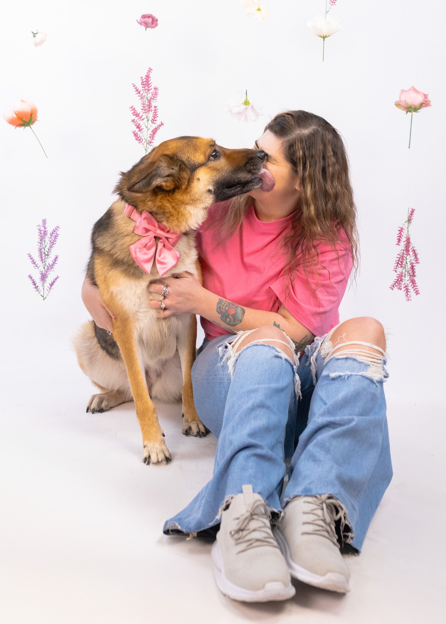Large brown dog with pink bow gives affectionate kiss to owner during photo shoot.