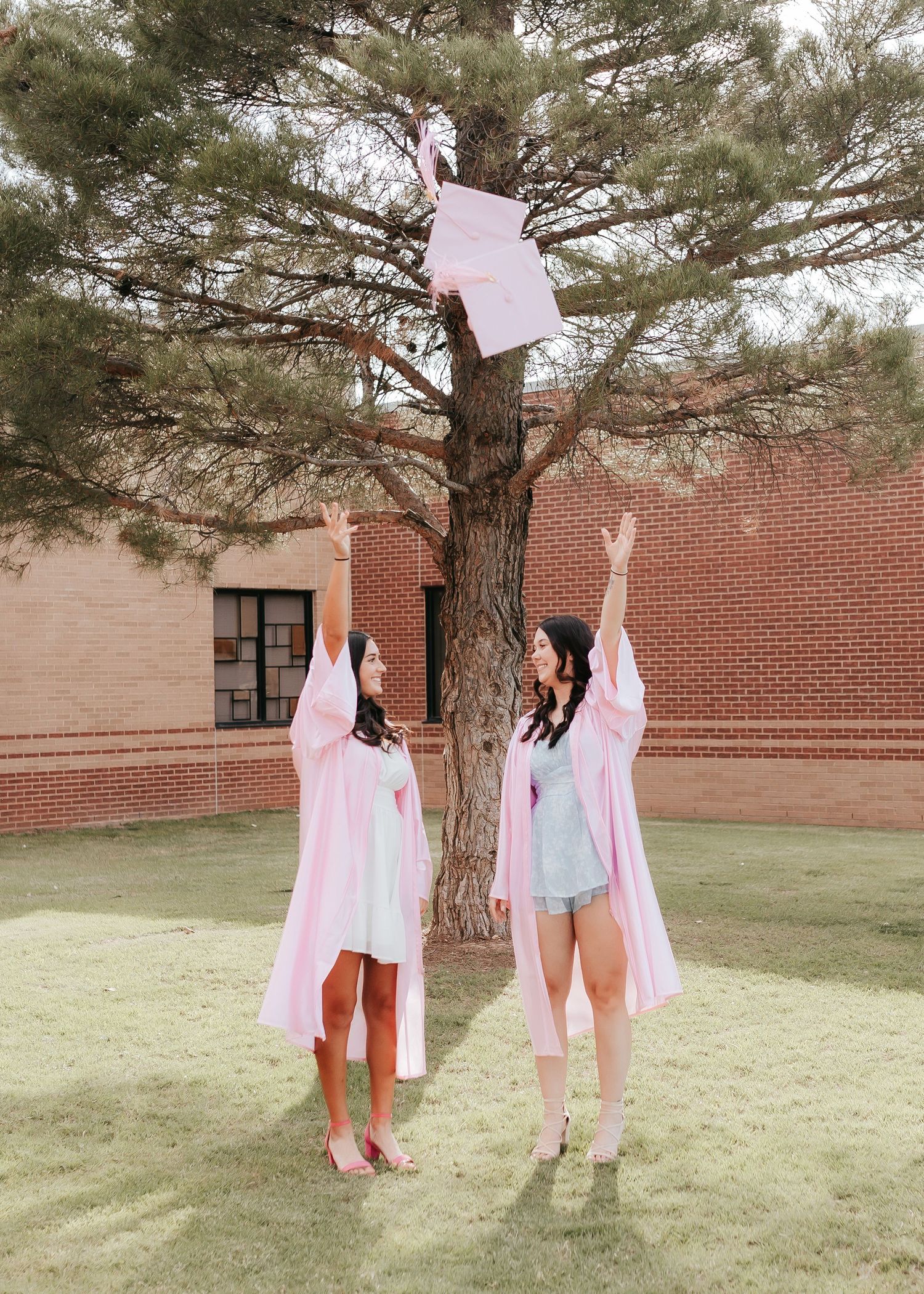 Creative graduation photo with students in pink gowns lifting classmate into pine tree.