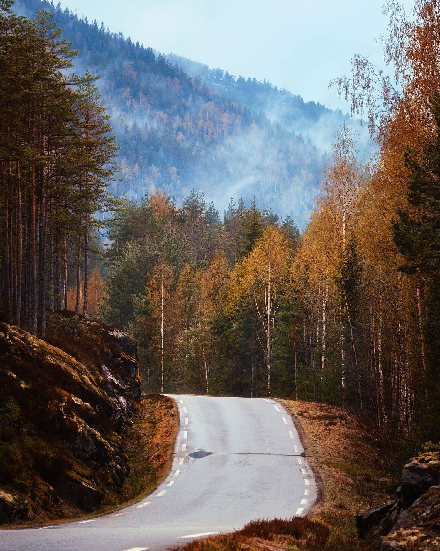 Winding mountain road through autumn forest with misty hills in the background.