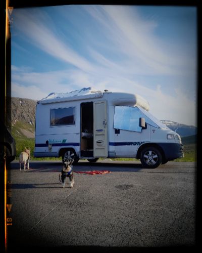 White and blue motorhome parked in mountain setting with dog standing in front on gravel surface under blue sky.