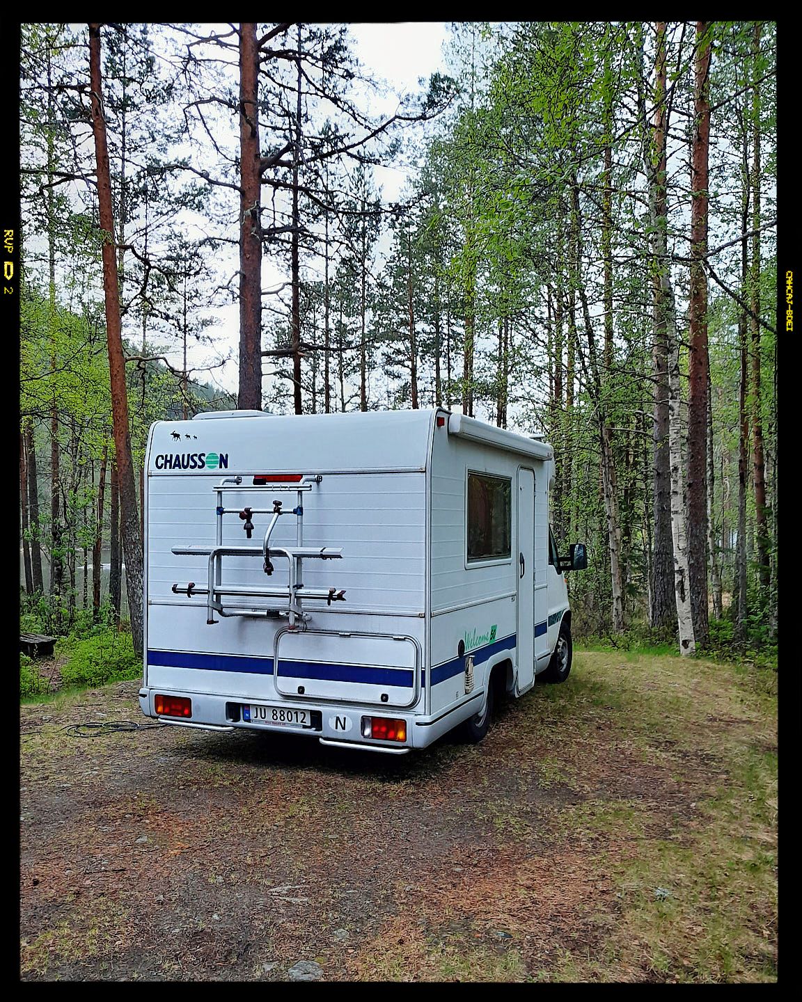 A white motorhome parked in a serene forest setting with tall pine and birch trees surrounding it.