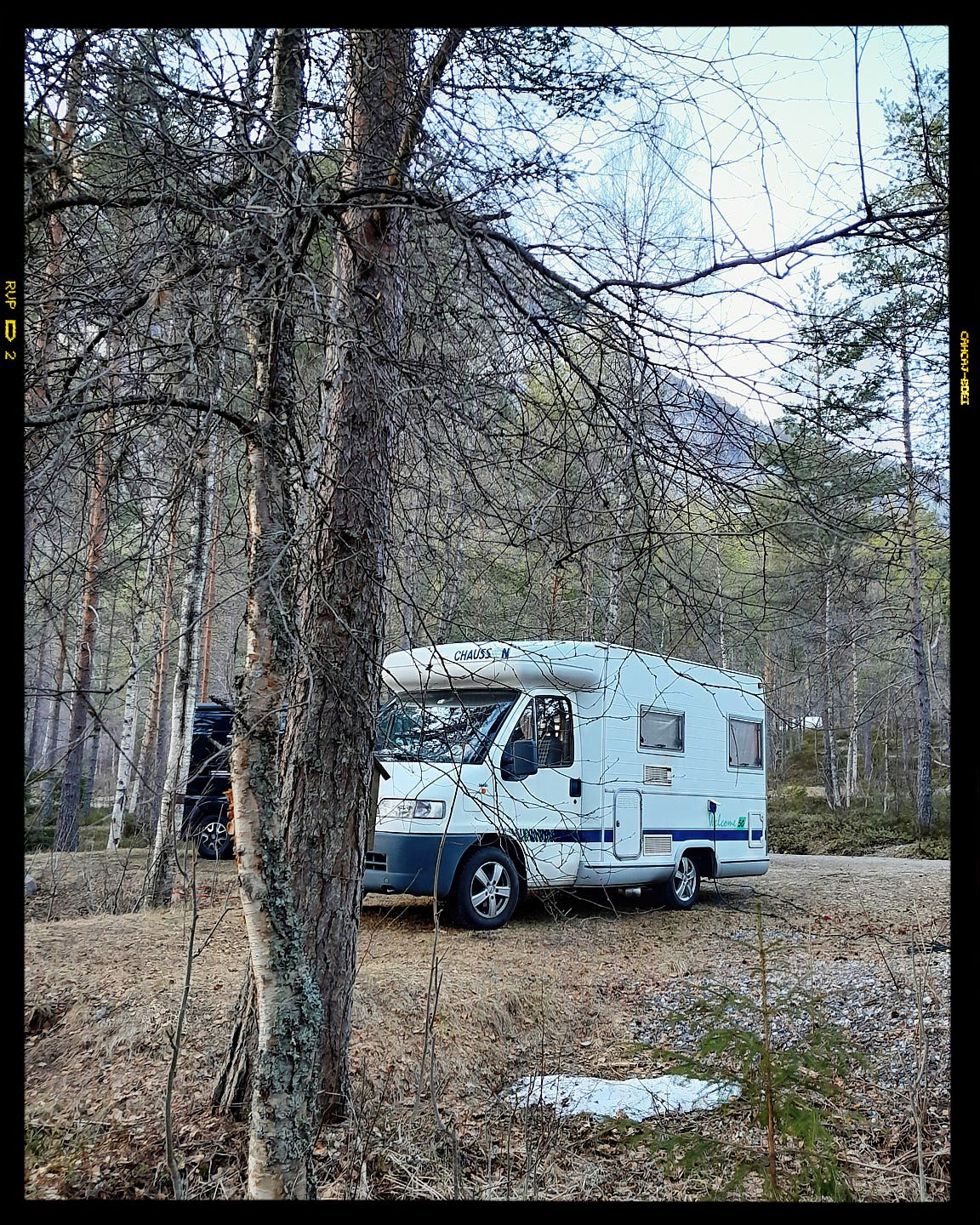 Multiple vintage-style camper trailers parked in a wooded setting with bare trees and snow patches visible on the ground.