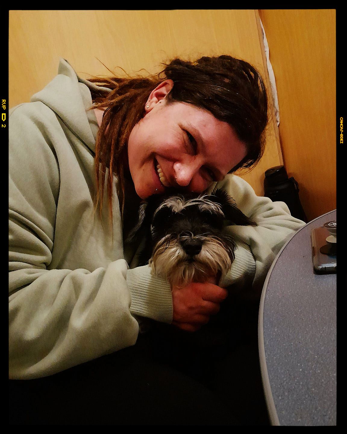 Someone in a green hoodie shares a tender moment cuddling with their small Schnauzer dog against a yellow wall.