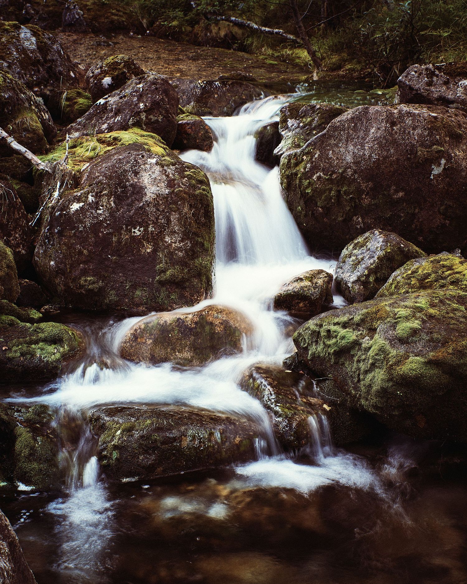 Small waterfall cascading over moss-covered rocks in a natural stream setting.