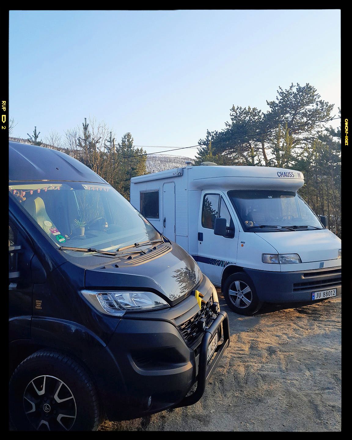 White panel vans and commercial vehicles parked in a line along a grassy field with trees in the background during daylight.