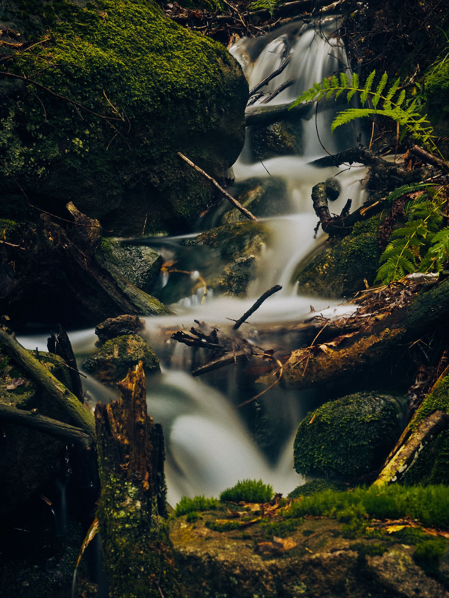Long exposure waterfall cascading through mossy rocks and fallen logs in a lush forest setting creates dreamy motion blur effect.