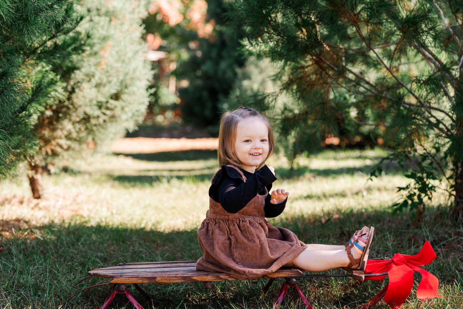 A series of photos showing a child laying in grass reading a book under dappled sunlight in a garden setting.