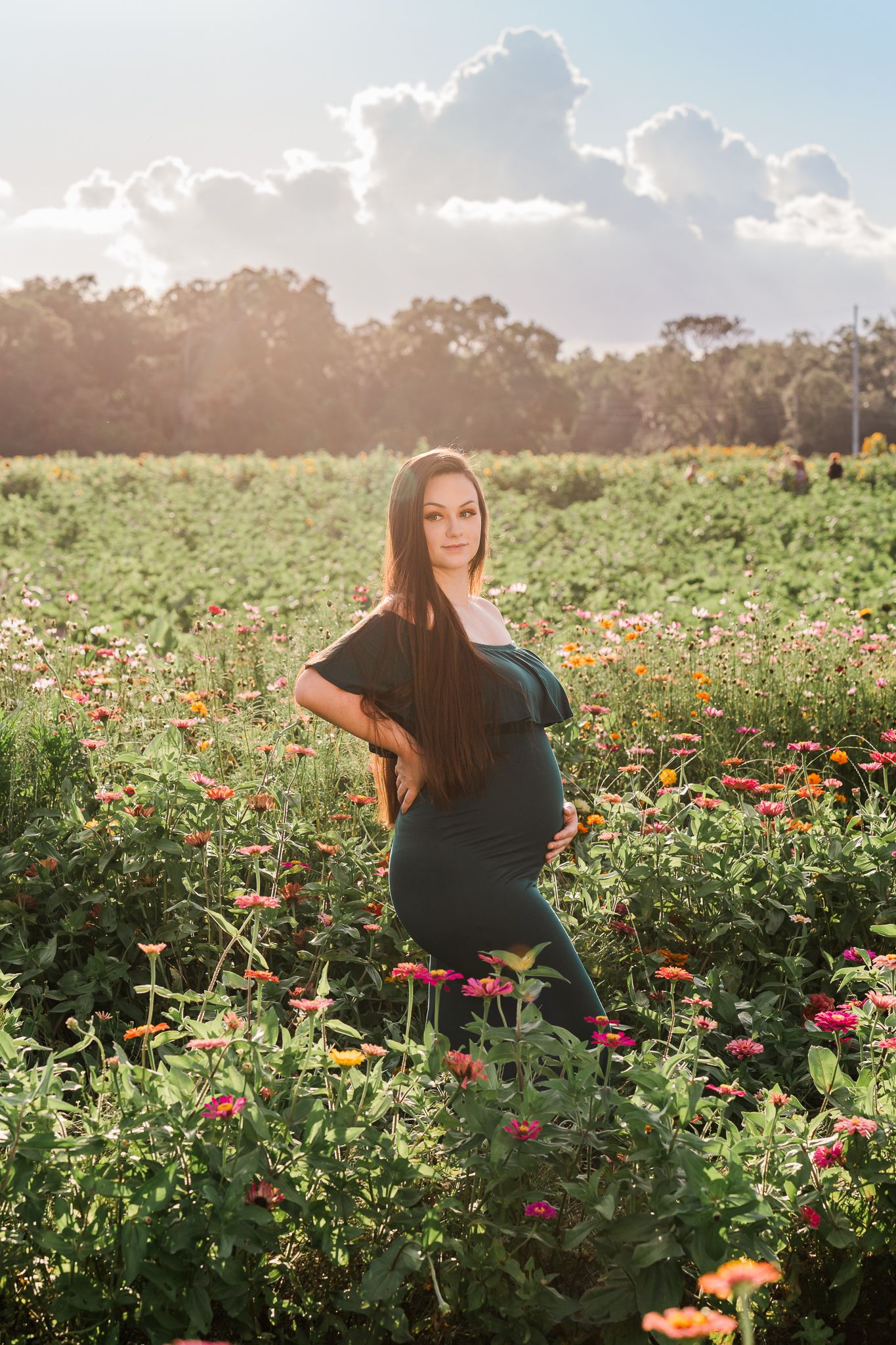 A serene wildflower field bursts with colorful zinnias and cosmos flowers bathed in golden sunlight at sunset.