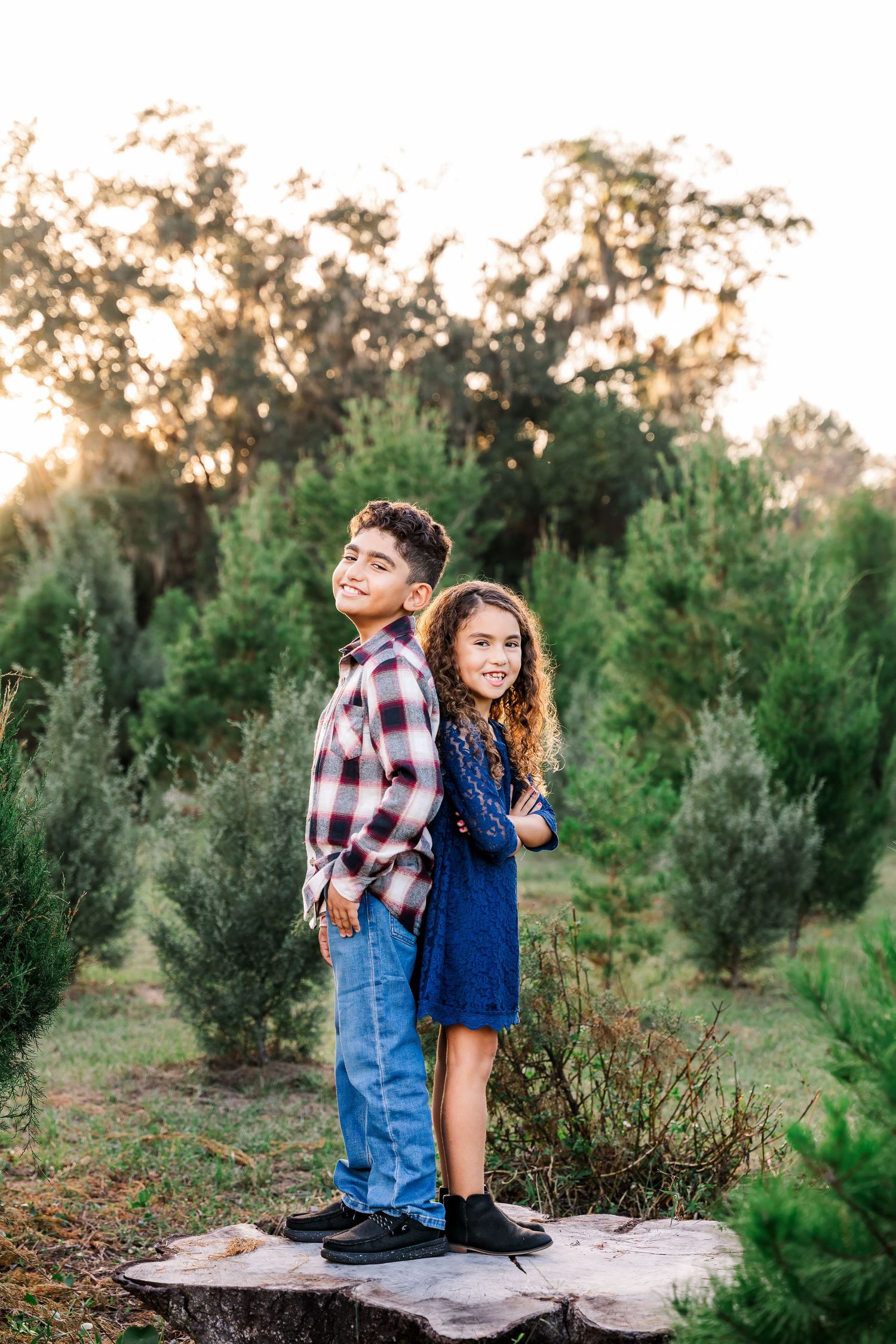 Two children stand back-to-back smiling on a tree stump at a Christmas tree farm during golden hour.