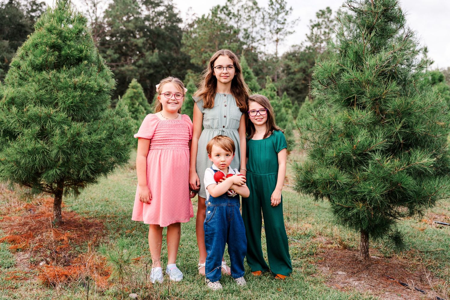 Small group poses together in a pine tree field among evergreen branches blessed by warm natural lighting.