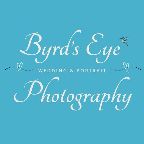 Blue and white logo design for Byrd's Eye Wedding & Portrait Photography with decorative swirls and a small bird icon.
