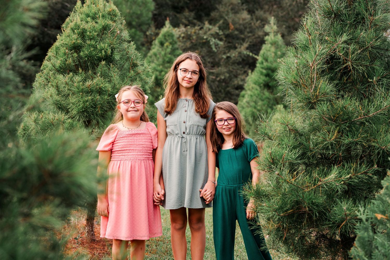 Three people posing together between green pine trees at Christmas tree farm.