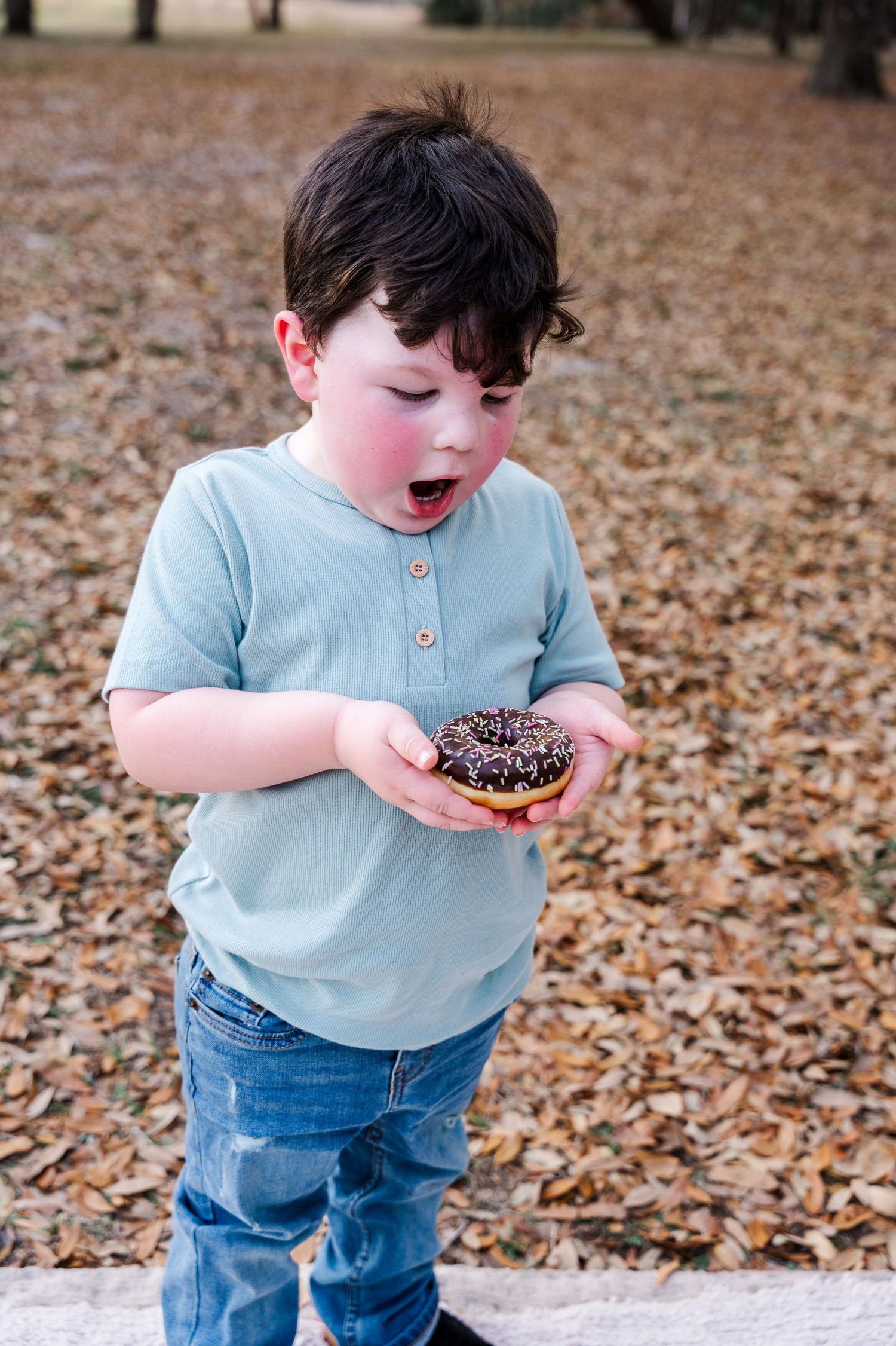 Young boy in light blue shirt looking excited at chocolate donut in autumn setting.