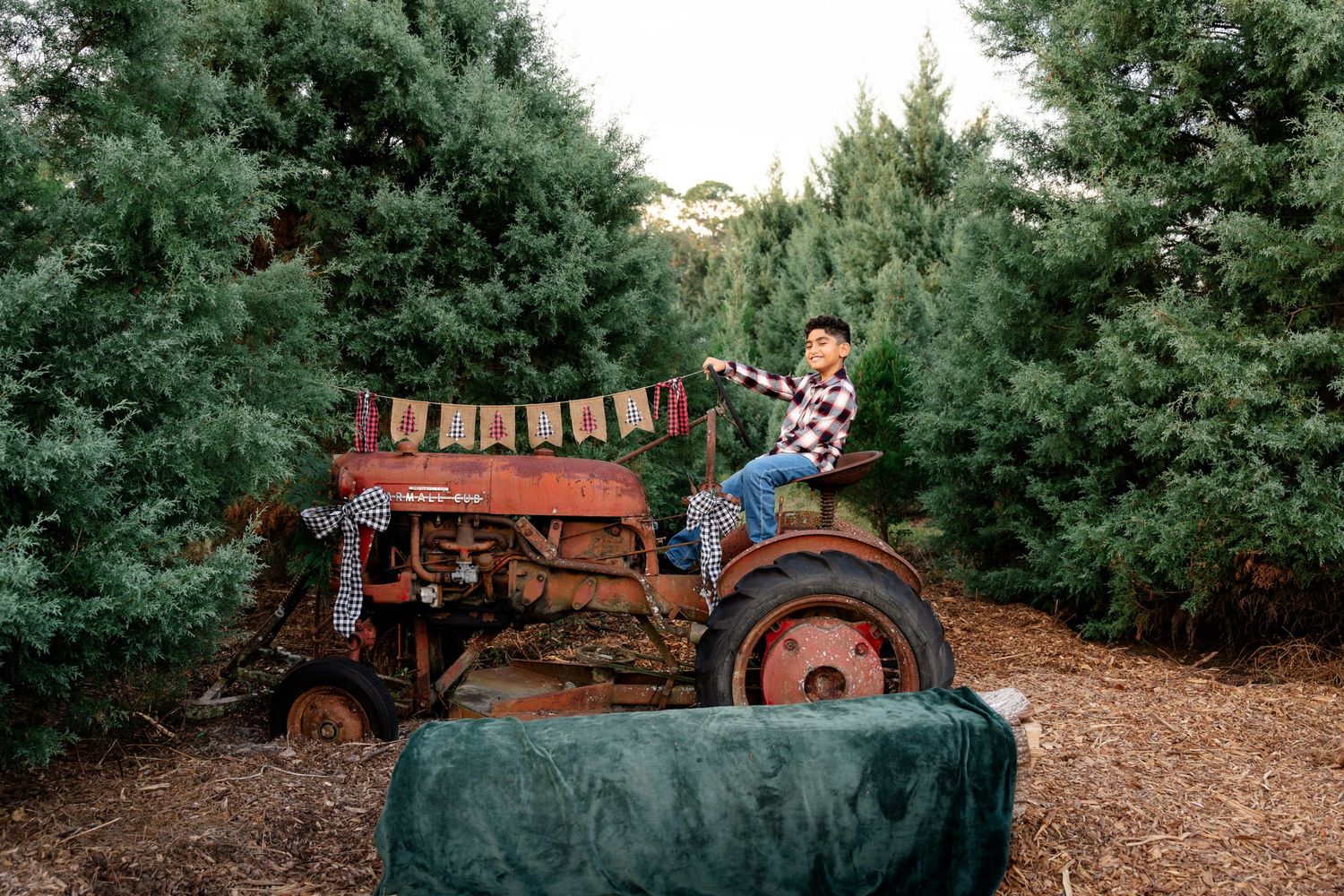 A young boy sits on a rustic red tractor surrounded by lush green Christmas trees at a festive tree farm.