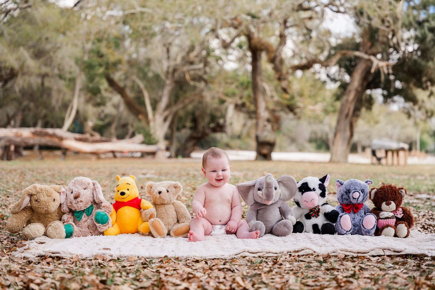 Infant posed with line of stuffed animals including Winnie the Pooh on white blanket outdoors.