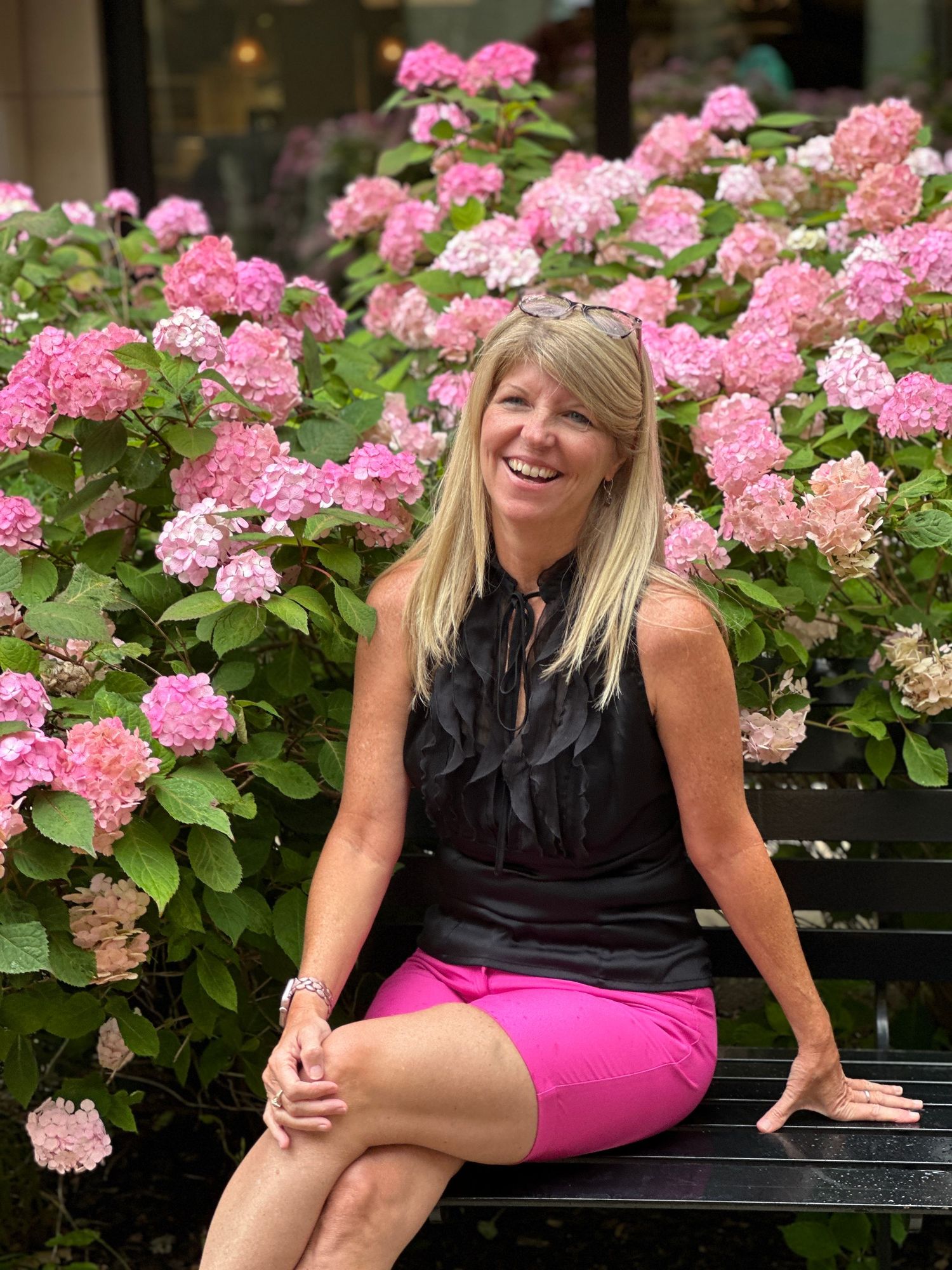 Summer garden scene with pink hydrangea bushes in full bloom beside black bench.