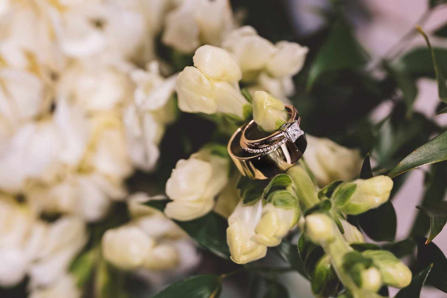 Close-up of cream and white roses with delicate green foliage in soft focus.