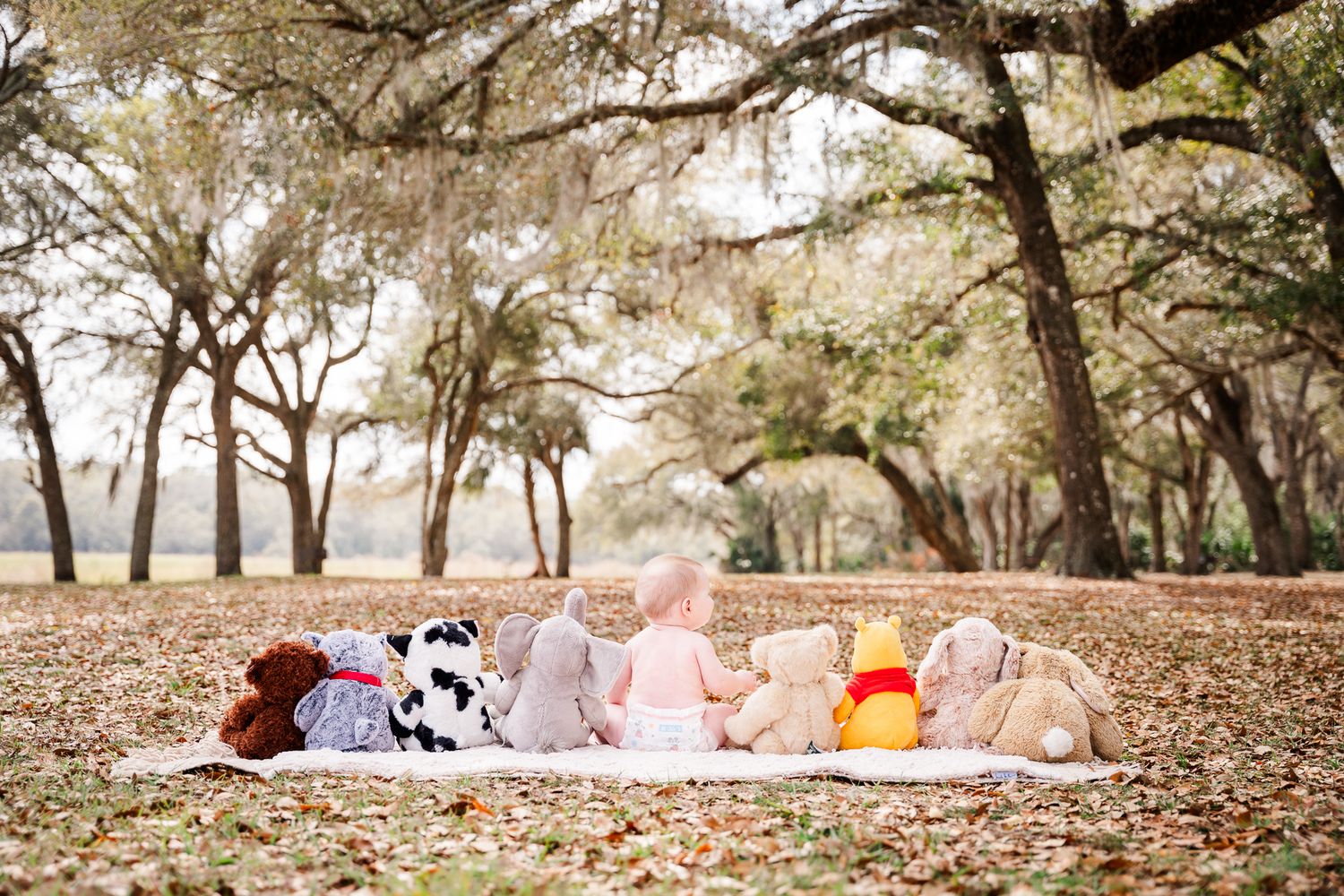 Stuffed animals arranged on a picnic blanket under oak trees with hanging Spanish moss.