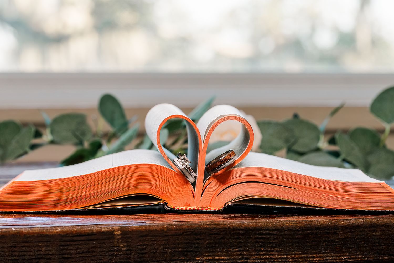 Open book pages folded into heart shape on wooden surface with green accent.