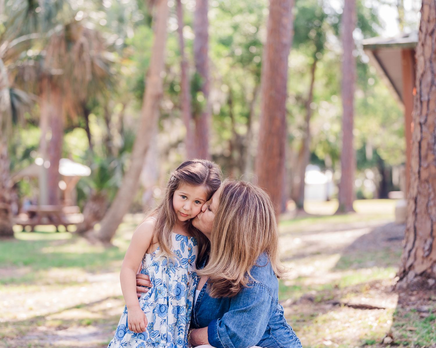 Intimate portraits among tall pine trees in a wooded park setting.