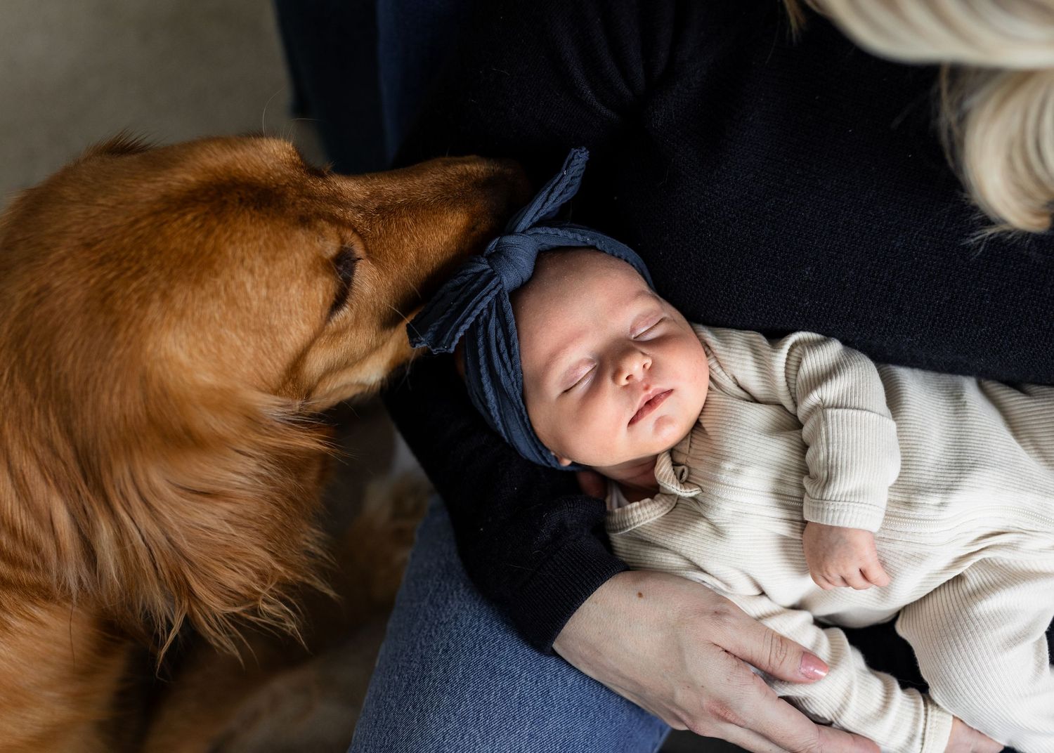 In-home newborn session in Calgary, AB with a family dog