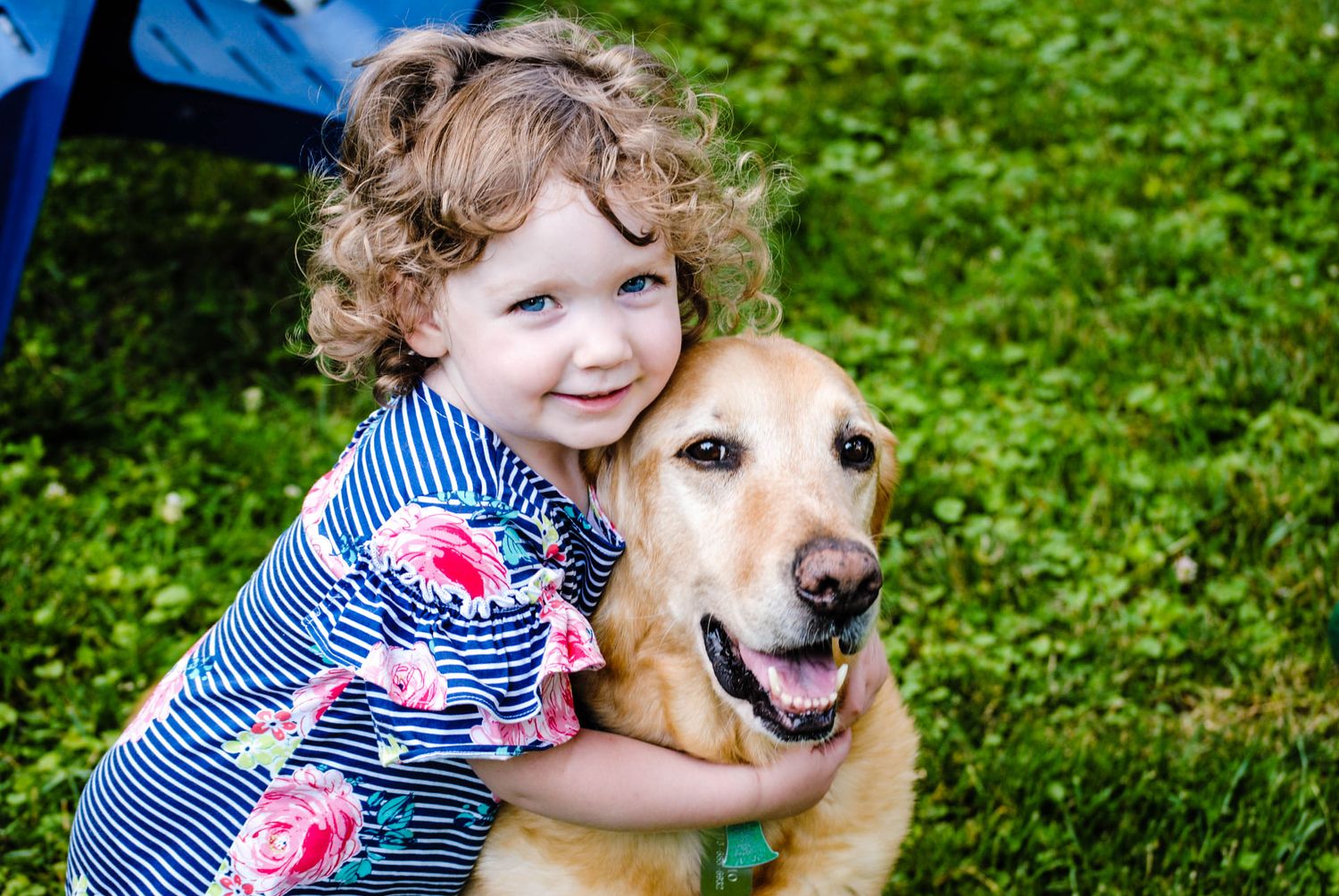 Happy child hugging golden retriever dog in backyard setting.