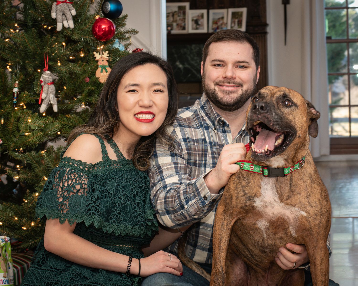 A decorated Christmas tree stands in the corner of a living room with a brown dog and two people posing for a holiday photo.
