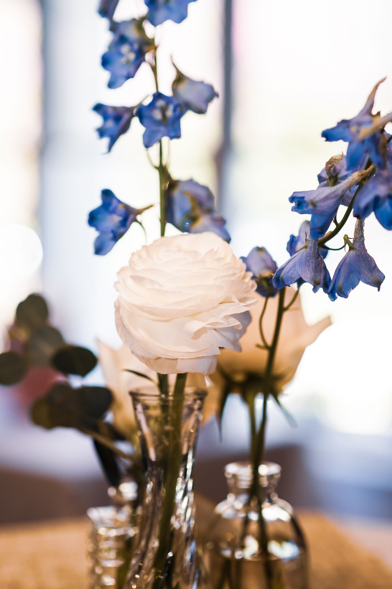 White rose and blue delphinium flowers arranged in small glass vases, elegant floral centerpiece with soft bokeh background.