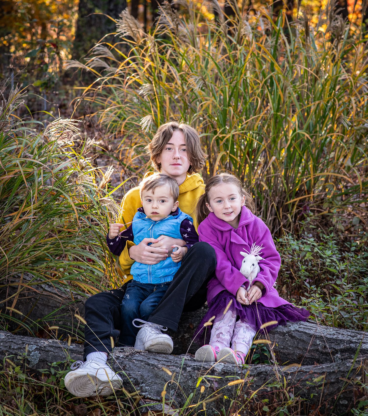Three children pose outdoors on a rock surrounded by tall autumn grasses in a warm fall nature setting.