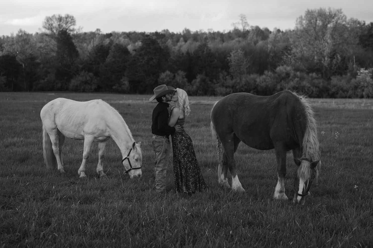 Black and white photo of a person standing between a white and brown horse grazing in a field with trees in background.