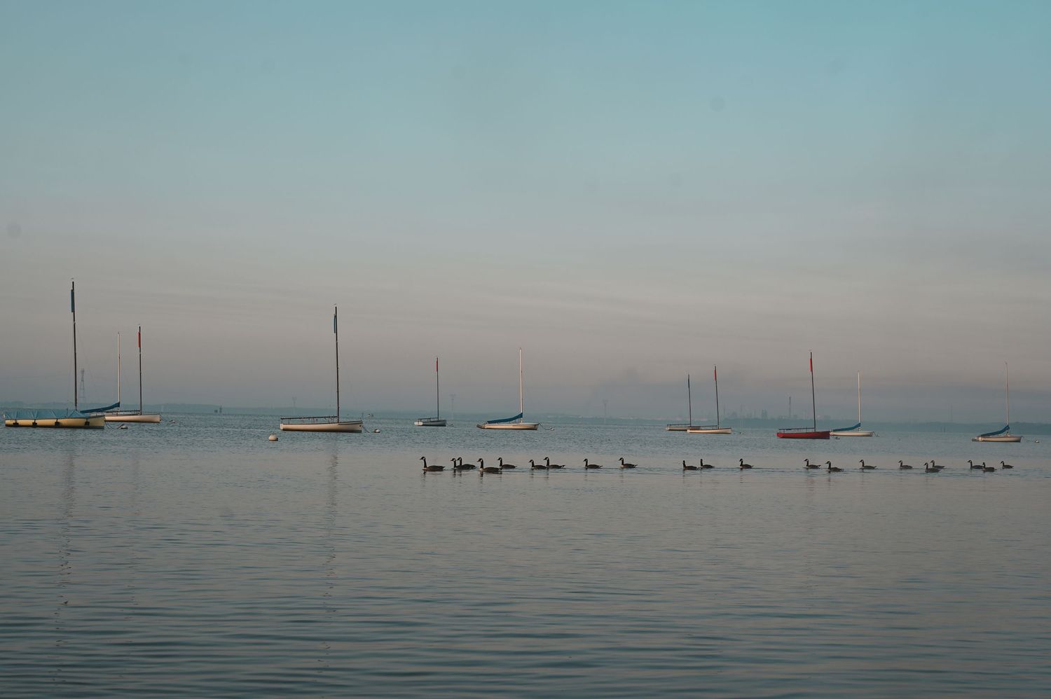 Serene coastal landscape with silhouettes of birds and boats on calm waters at dusk.