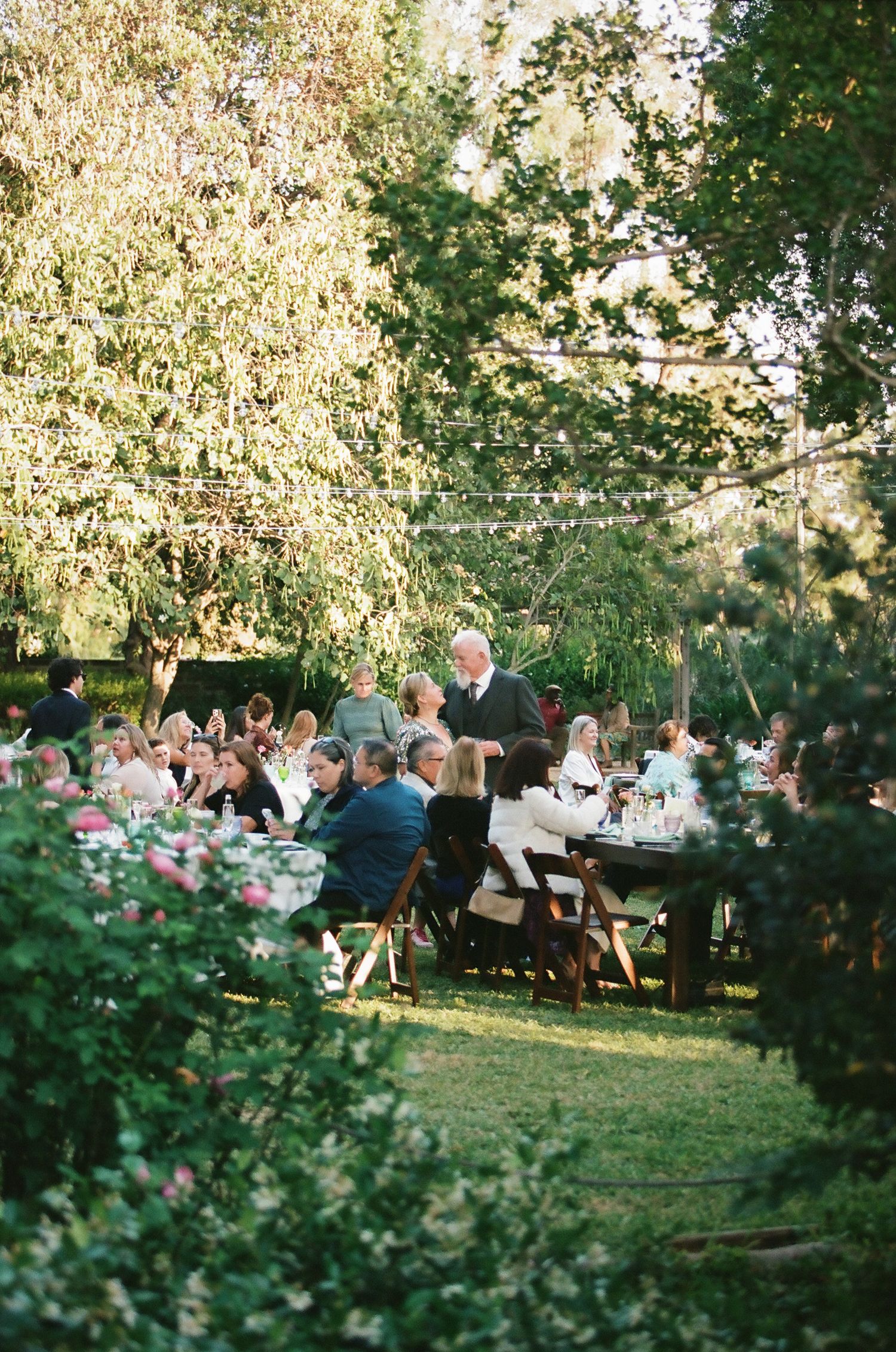Guests dining at elegant outdoor garden wedding reception with string lights and lush greenery.