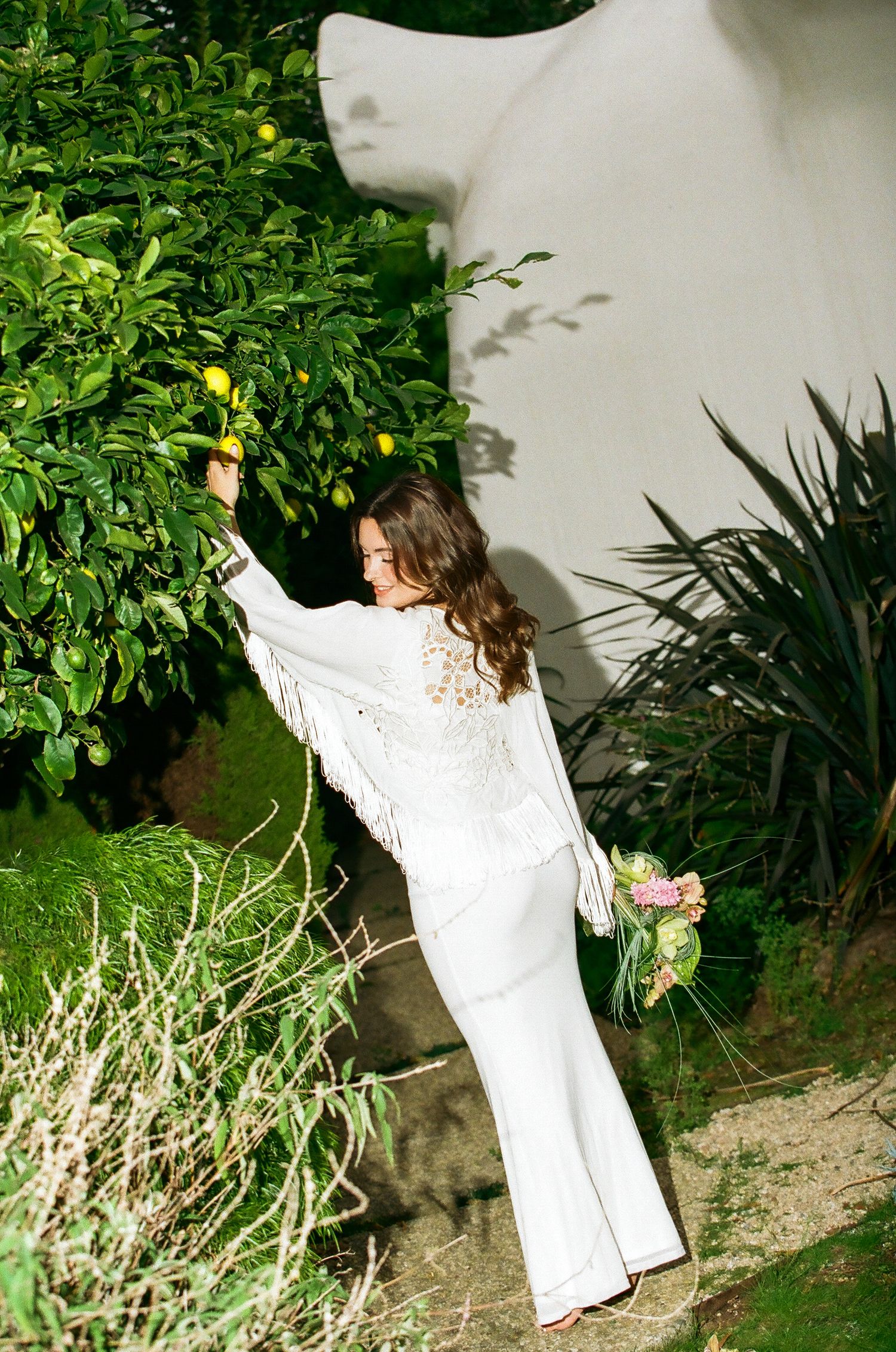 Back view of bride in white fringe jacket picking lemons from tree while holding a pink bouquet.