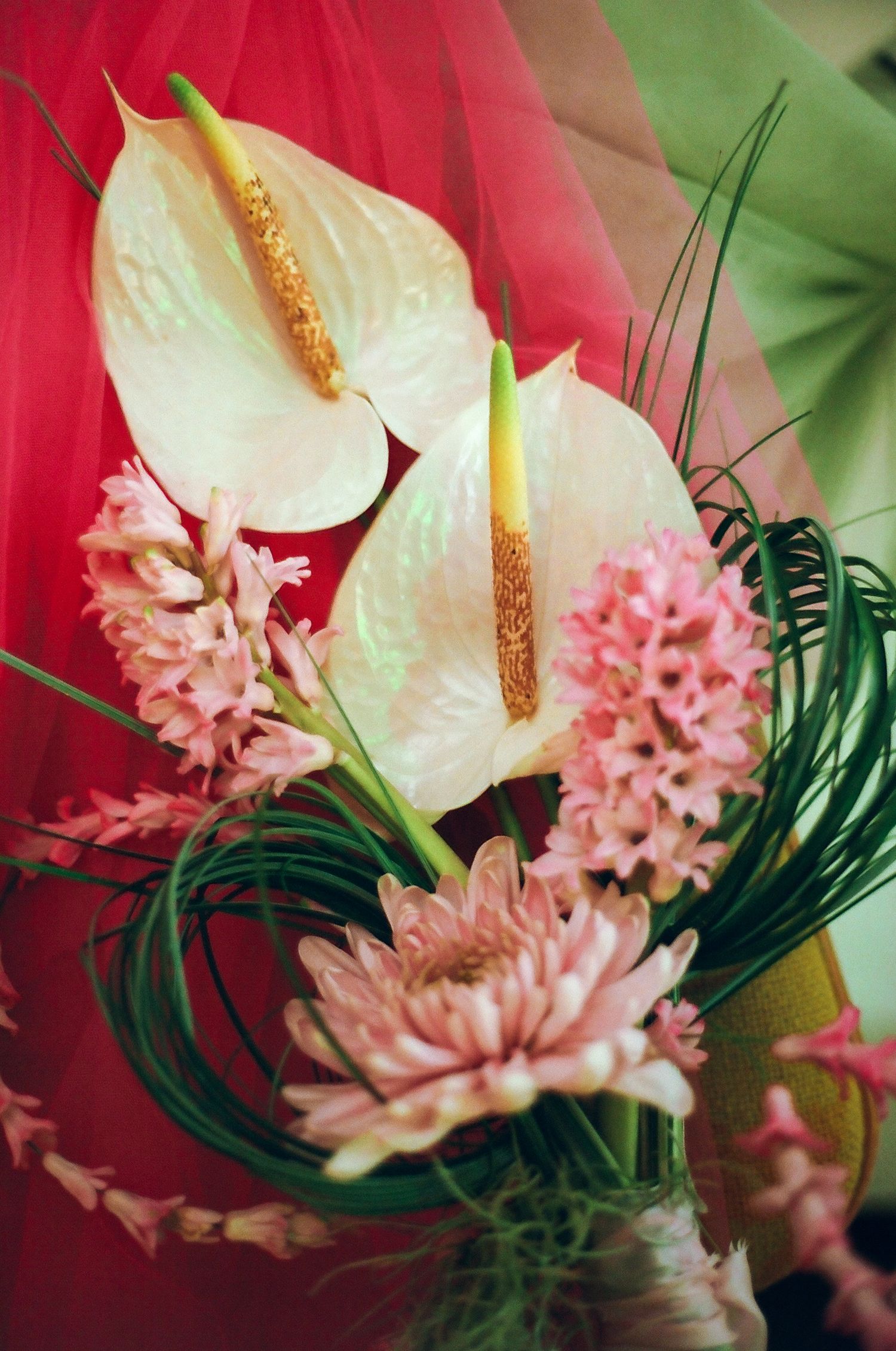 White anthurium and pink hyacinth floral bouquet arrangement with tropical greenery on red background.