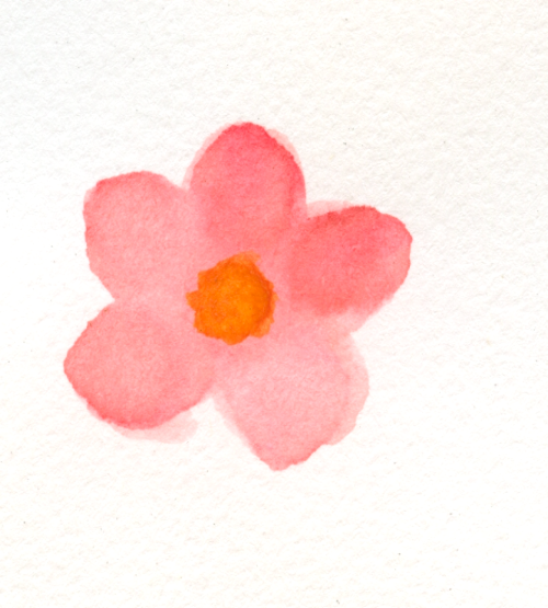 Watercolor painting of a single pink five-petal flower with an orange center.