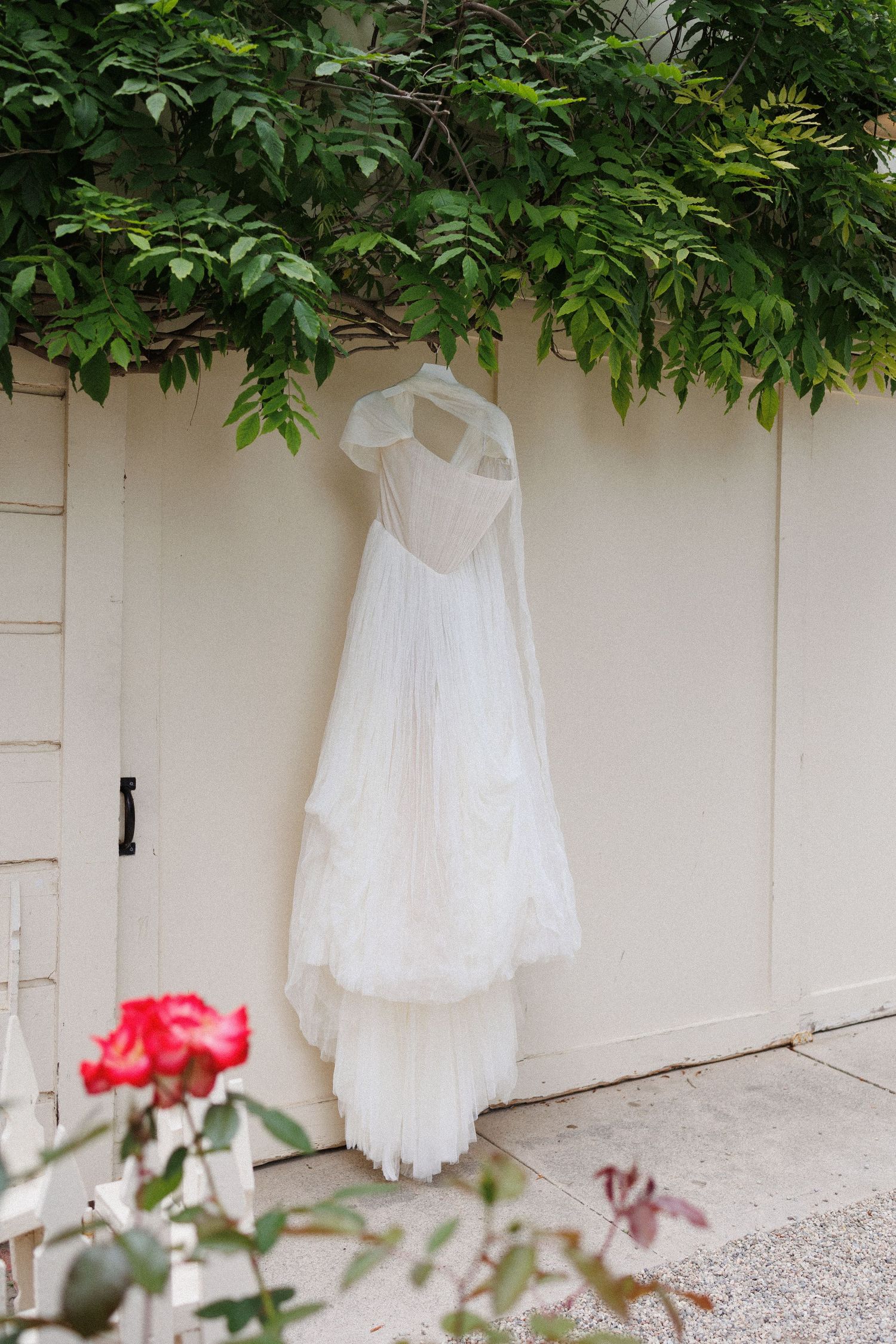 An elegant white wedding dress with lace veil hanging against a white wall surrounded by lush green foliage and red roses.