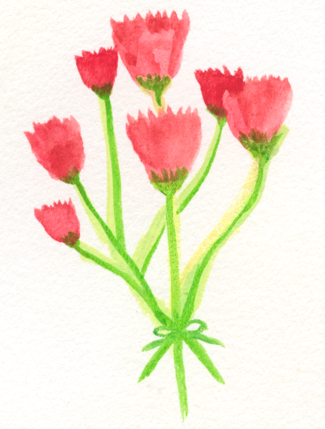 Watercolor illustration of a bouquet of red carnations tied with a green ribbon.